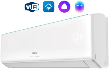 BSW-30HN1_24Y