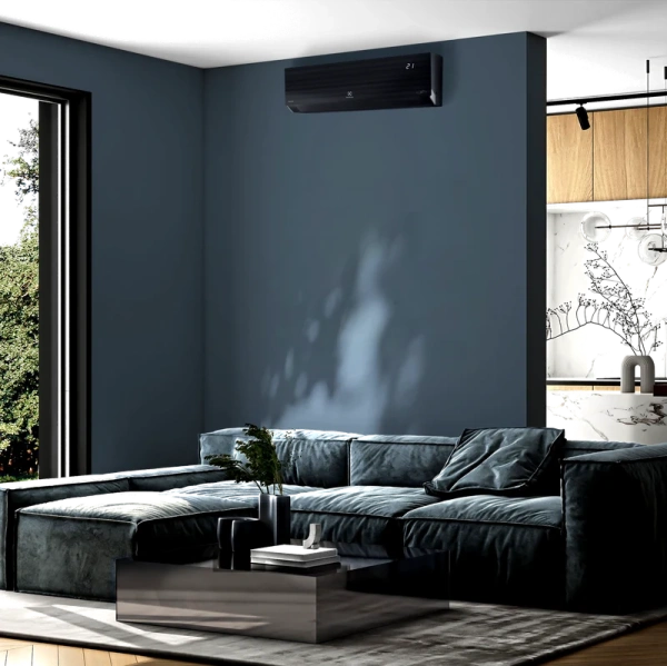 EACS/I-12HEN-BLACK/N8_24Y